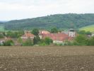 img_8511.jpg